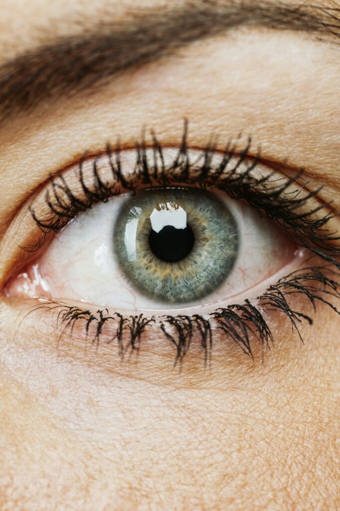 Close up portrait of a woman's eye